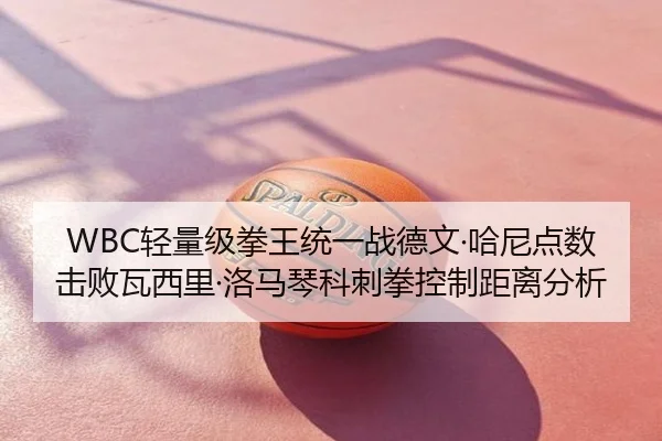WBC轻量级拳王统一战德文·哈尼点数击败瓦西里·洛马琴科刺拳控制距离分析