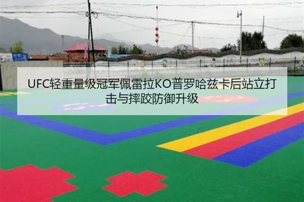 UFC轻重量级冠军佩雷拉KO普罗哈兹卡后站立打击与摔跤防御升级